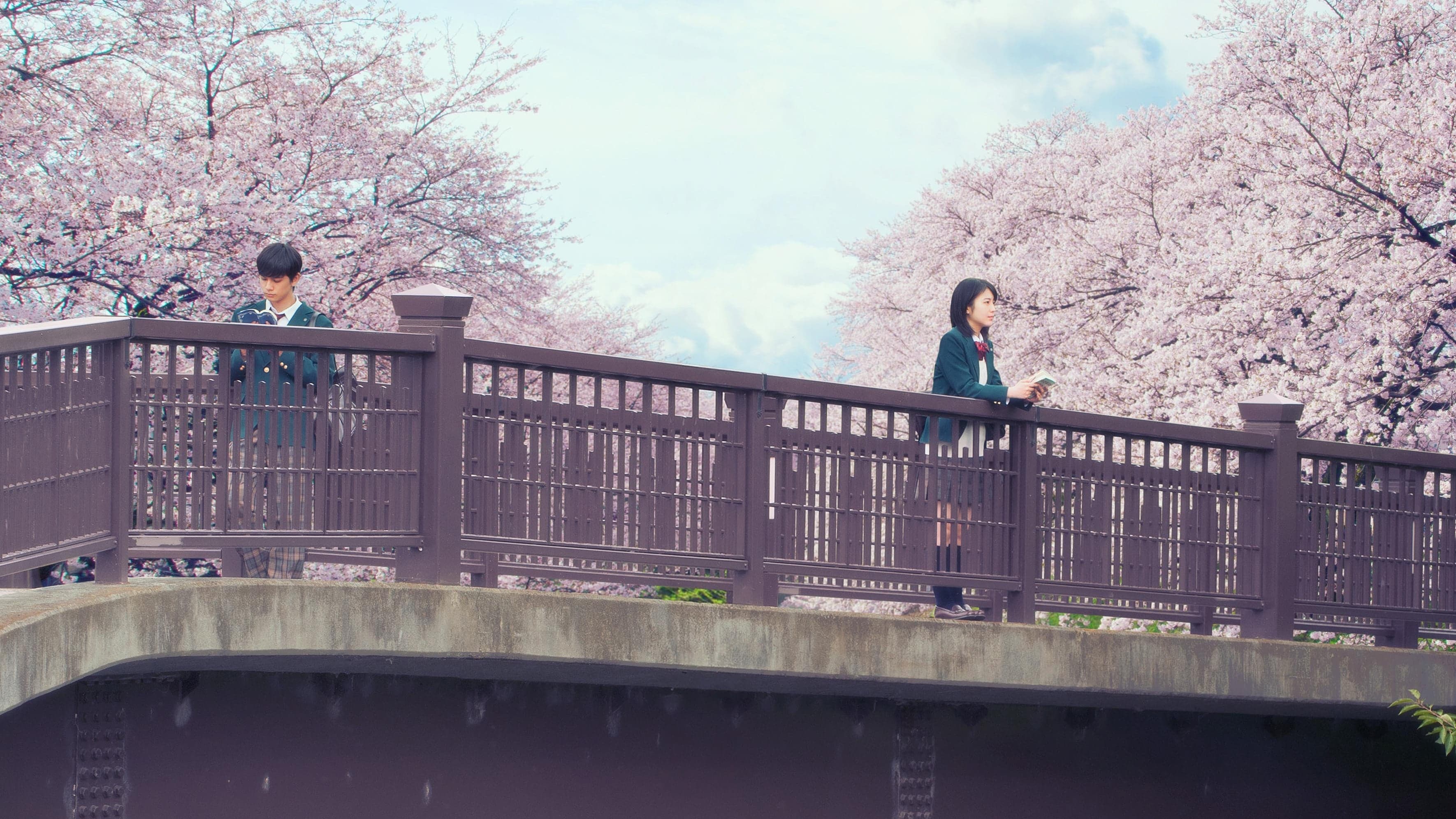 Kimi no Suizō wo Tabetai