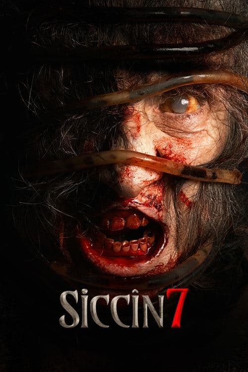 Siccin 7