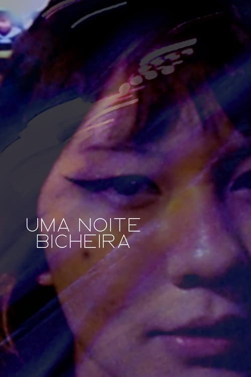 Uma Noite Bicheira