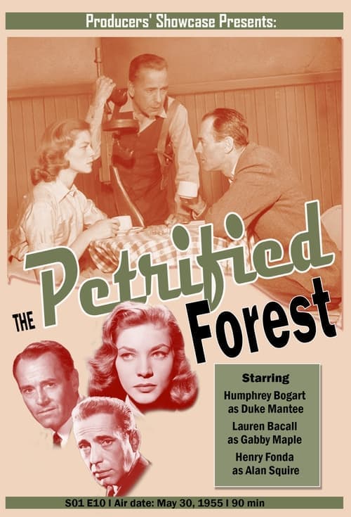 The Petrified Forest